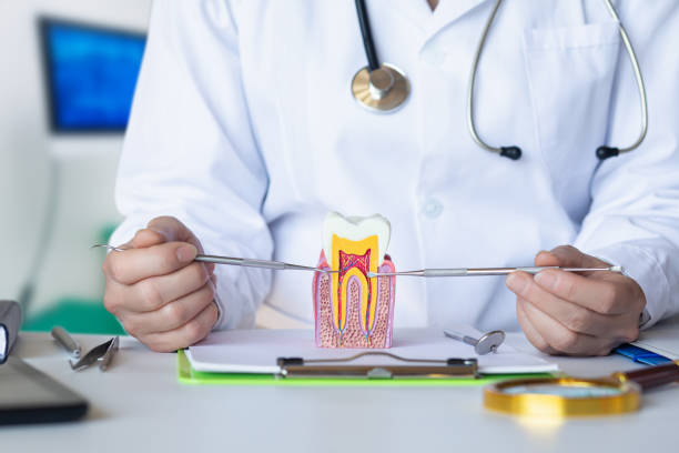 Best Knocked-Out Tooth Emergency  in Brooktrails, CA